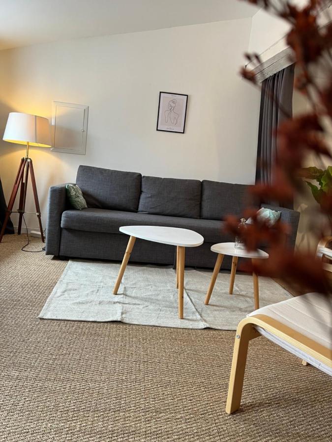 Ferienwohnung Loft Cosy - Centre Historique Climatise Revel  Exterior foto